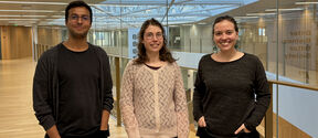 Three EDUCA postdocs, Dept. of Economics